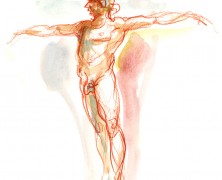 Life Drawings 2012