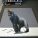 Anamorphic Art